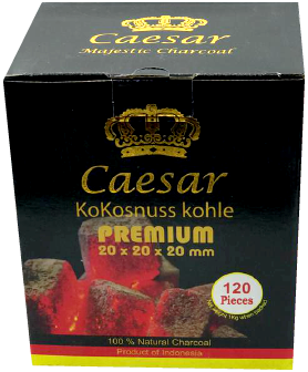 פחמי סייזר 120